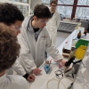2025_02_20_Leistungsfach Chemie in Berlin